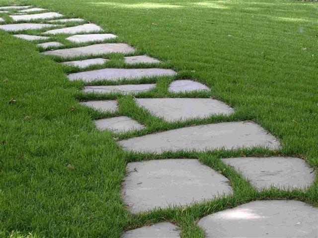Apollo Landscaping
