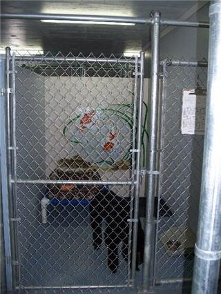 Glenpark Pet Hotel & Suites