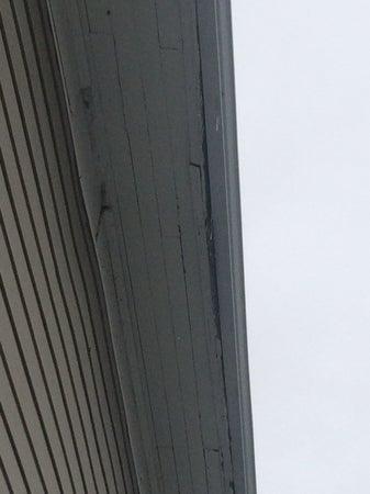 All Dry Roofing and Renovations