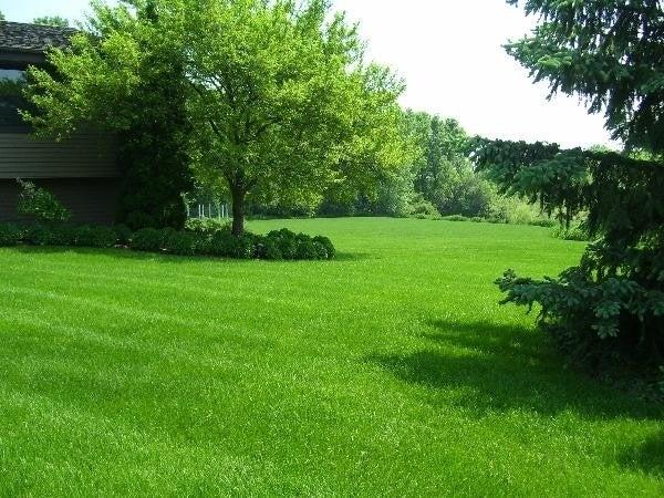Kendall Lawn Care