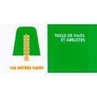100 Mtres Haies