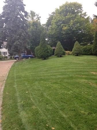 Dunn's Lawn Maintenance