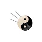 Acupuncture Guigaume Levesqu