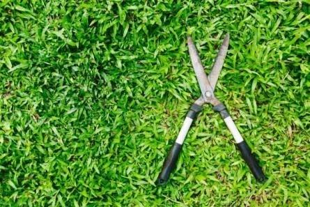 Beaulac Service D'arbres