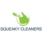Squeaky Cleaners