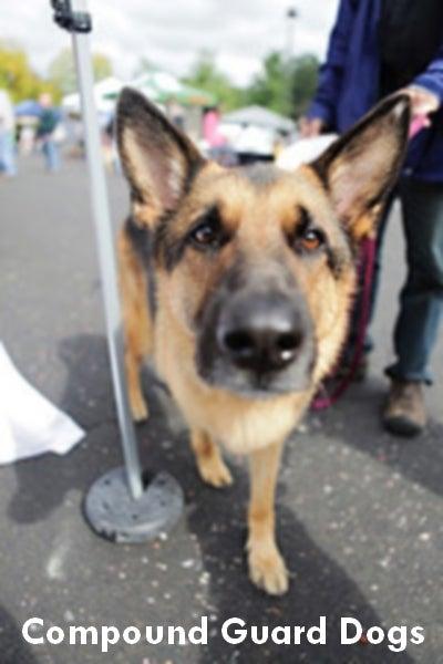 Brooks K-9 Service Ltd