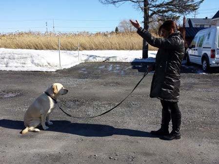 Dahan Canine Education Center