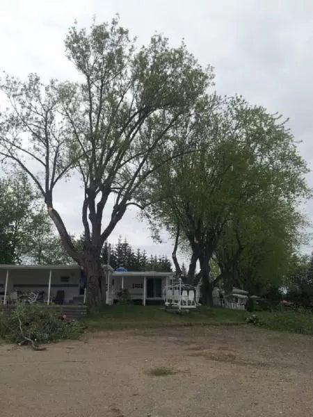 Entreprise Émondage Tanguay