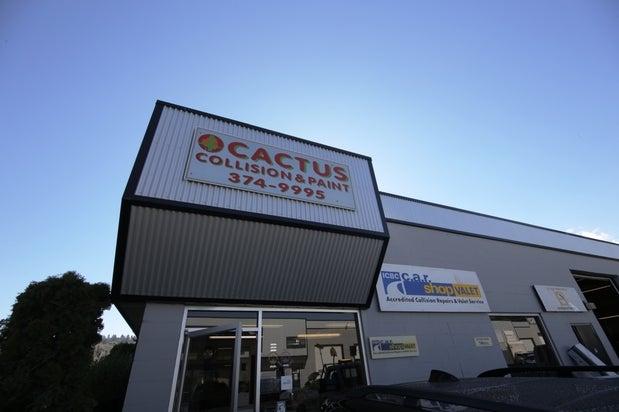Cactus Collision & Paint