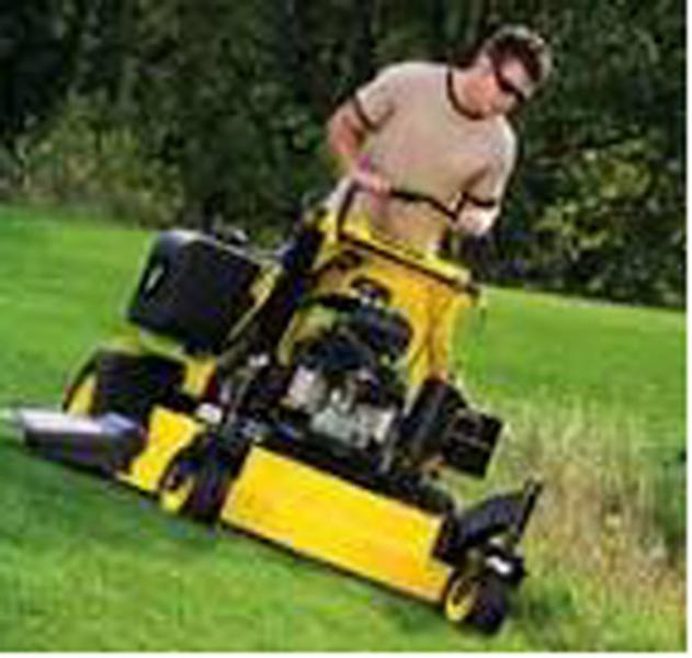 Dale's Grass Care Pro