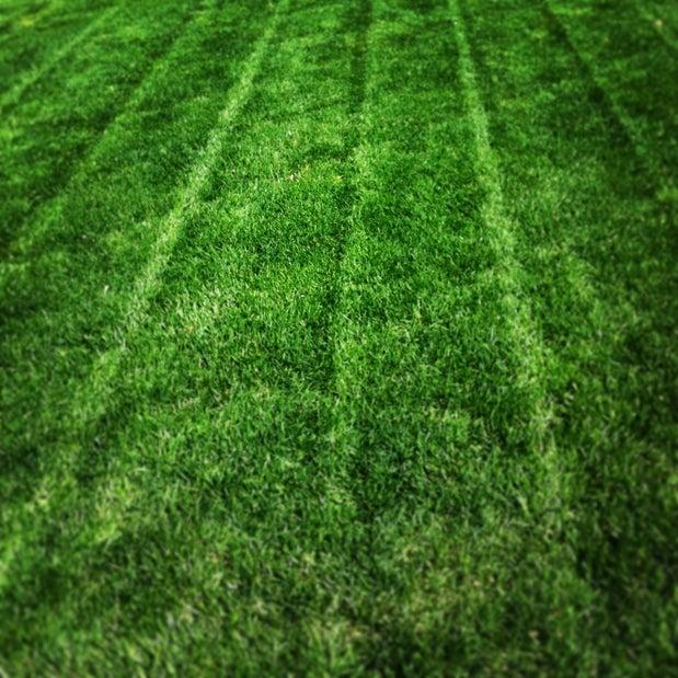 John Vanderwoude Sod Farms Ltd