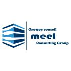 Meel Consulting Group