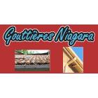 Gouttière Niagara