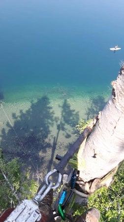 Windfirm Tree Services