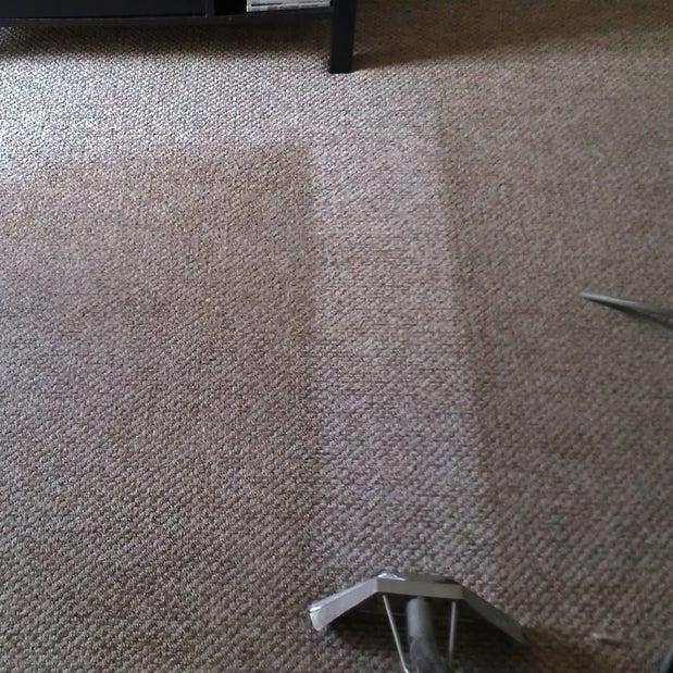 Steam Plus Carpet & Upholstery Cleaning