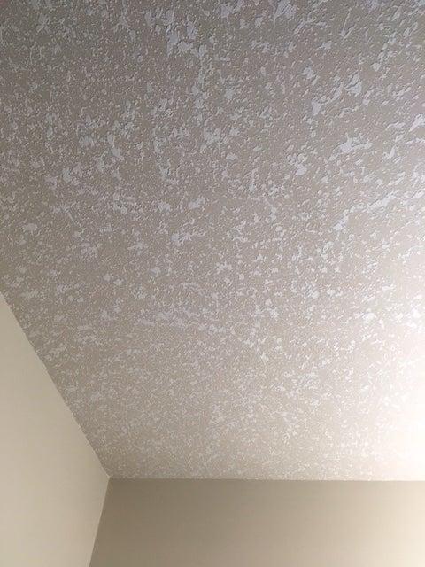 Pro Can Painting & Renovation Ltd