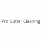 Pro Gutter Cleaning