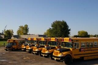 Dan Nel Coach Lines Ltd