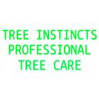 Kirkwood Tree Care