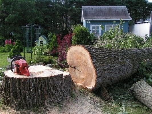 S. D'Éssouchement Rive-Nord