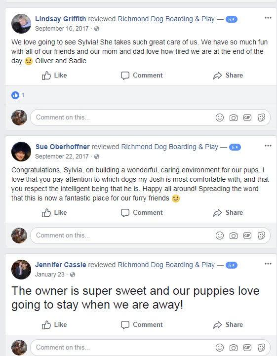 Richmond Dog Boarding and Play