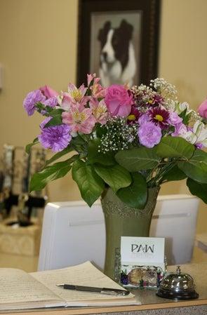 The Paw Resort & Wellness Centre