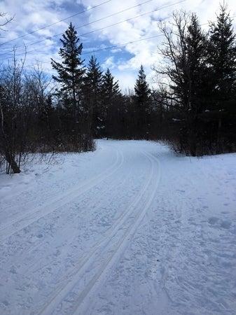 Bird's Hill Park Ranch