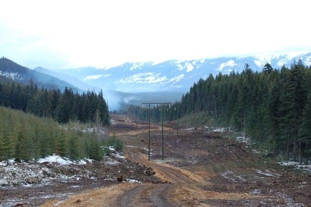 Yukon Engineering Service