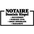Riopel Dominic Inc