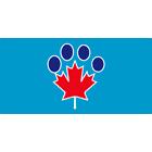 Sprocketts Doggy Day Camp Inc