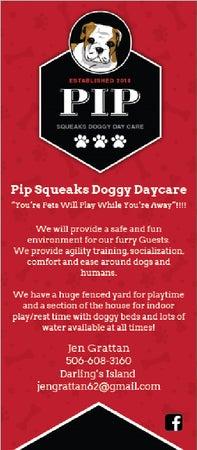 Pip Squeaks Doggy Daycare