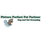 Picture Perfect Pet Parlour LTD