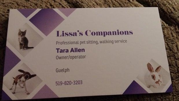 Lissa's Companions