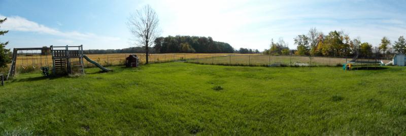 Weenie's Pet Playground