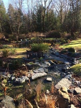 Island Waterscape & Design