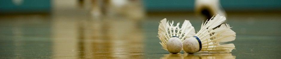 Badminton Ontario