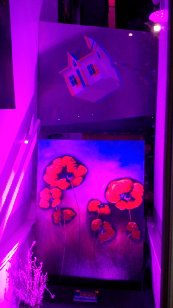 Alicat Art Studio