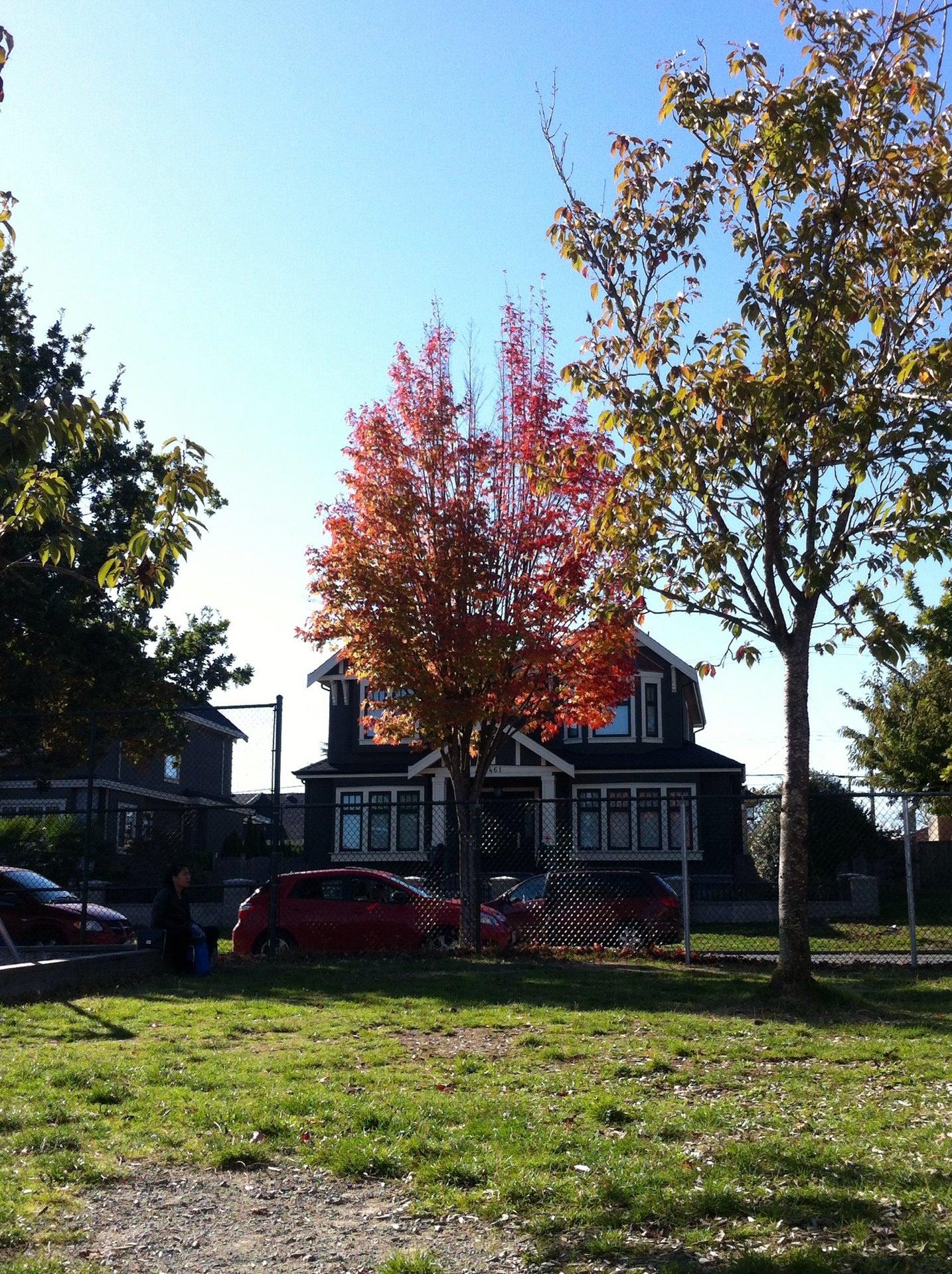 Jamieson Elementary Playground