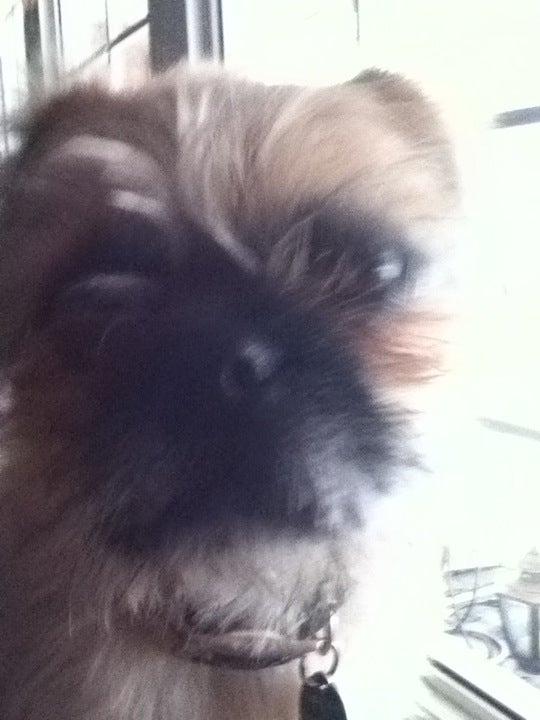 SD&G County Library Avonmore