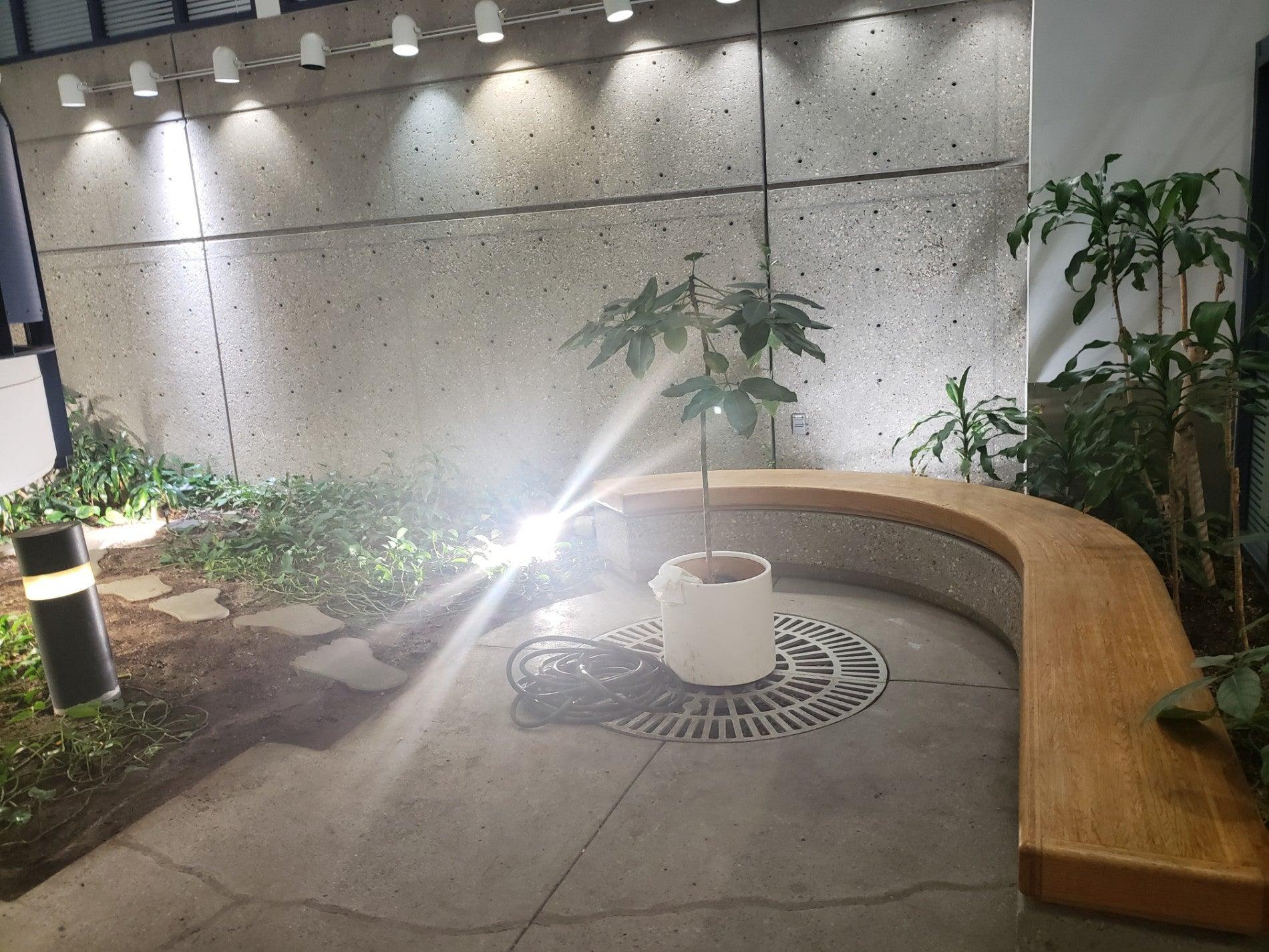 Trans Canada Pipelines LTD