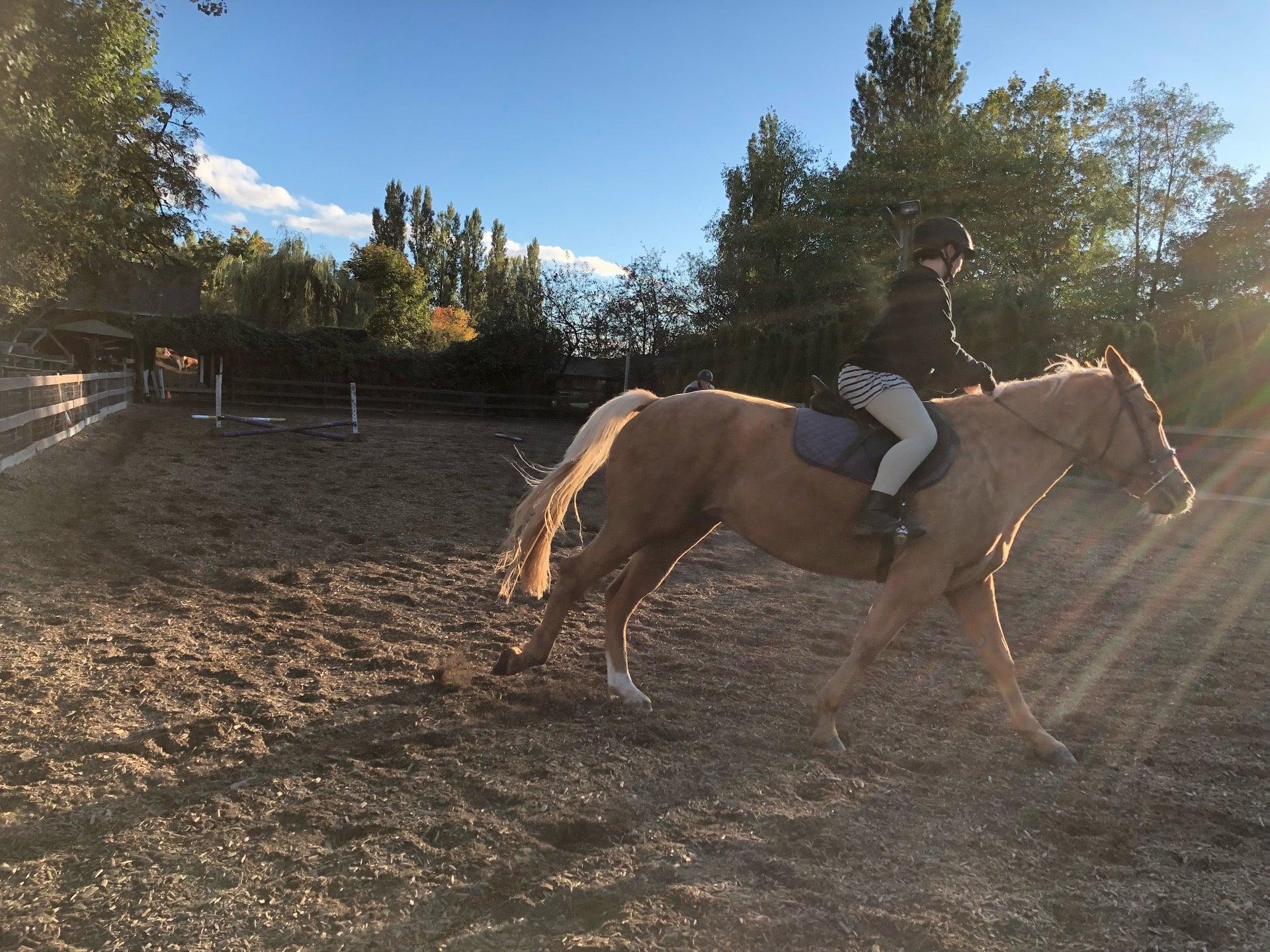 TD Bank Financial Group