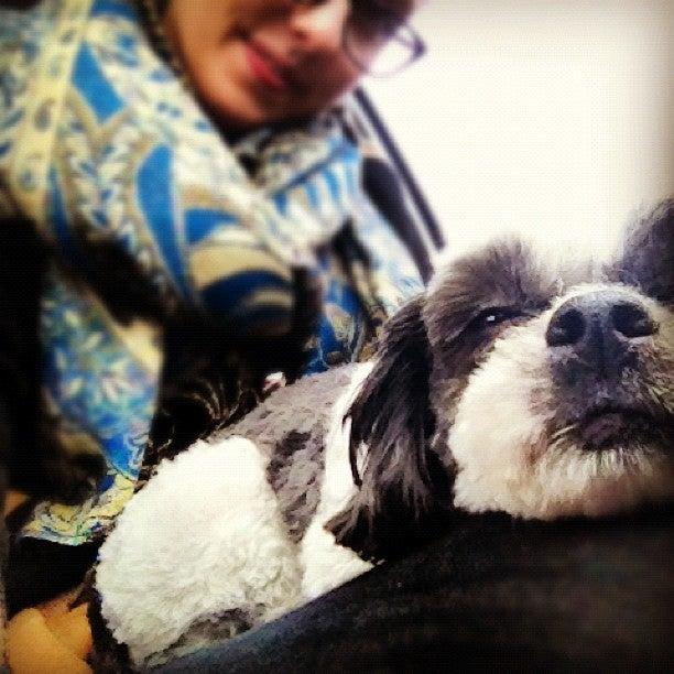 49th Parallel Grocery