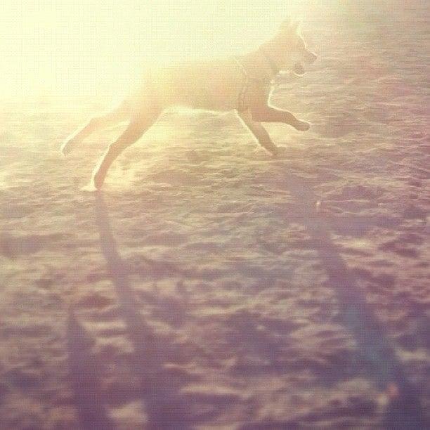 Lord Strathcona Sand Pitch