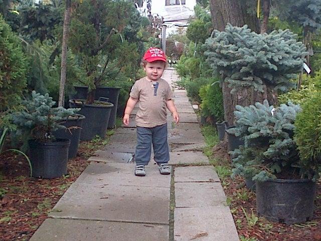 Angelo's Garden Centre