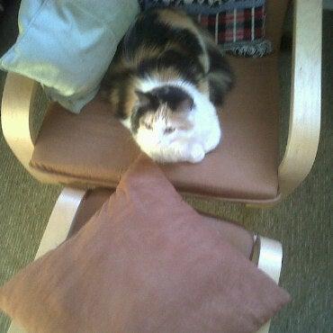 Messiah Lutheran Church