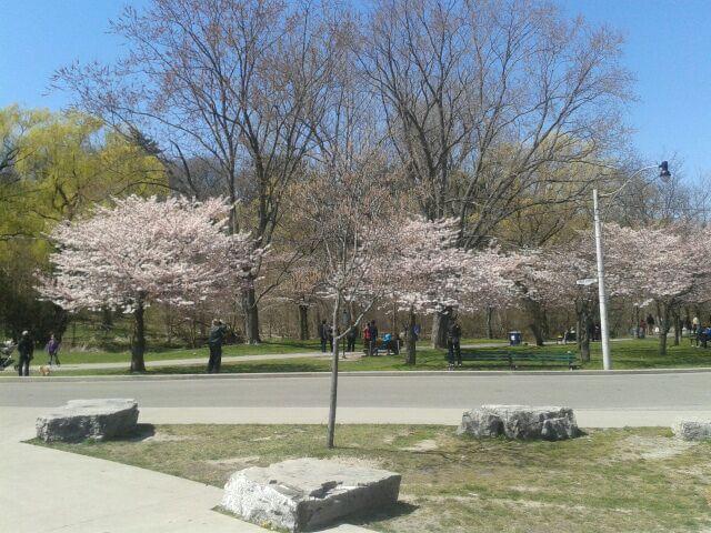 Race Roster Spring Run-Off