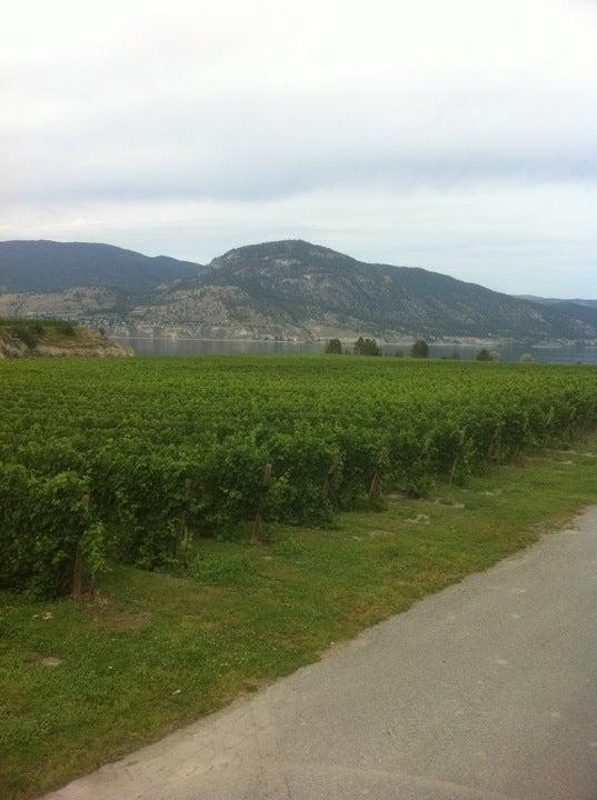 D'Angelo Estate Winery