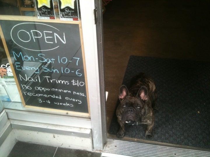 Dashing Dawgs Grooming & Boutique