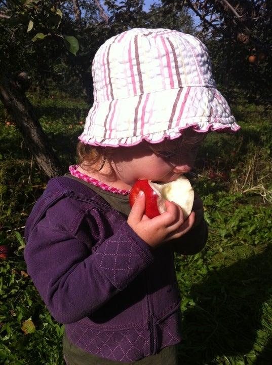 Verger le Gros Pierre