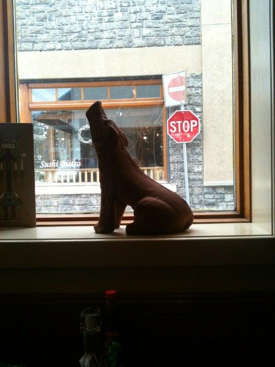 Coyotes Southwestern Grill